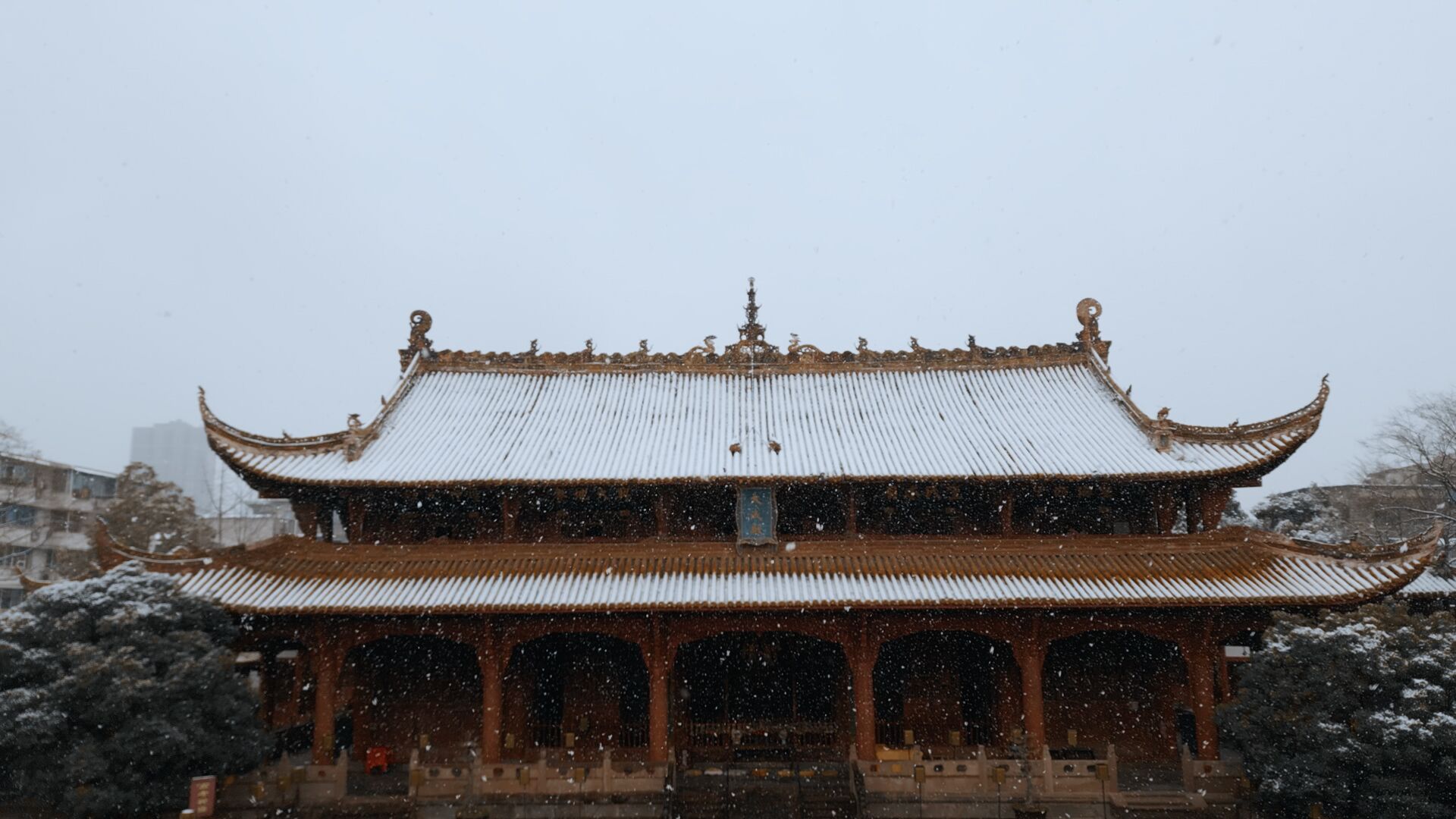 美哭了！德阳文庙的雪(图5)