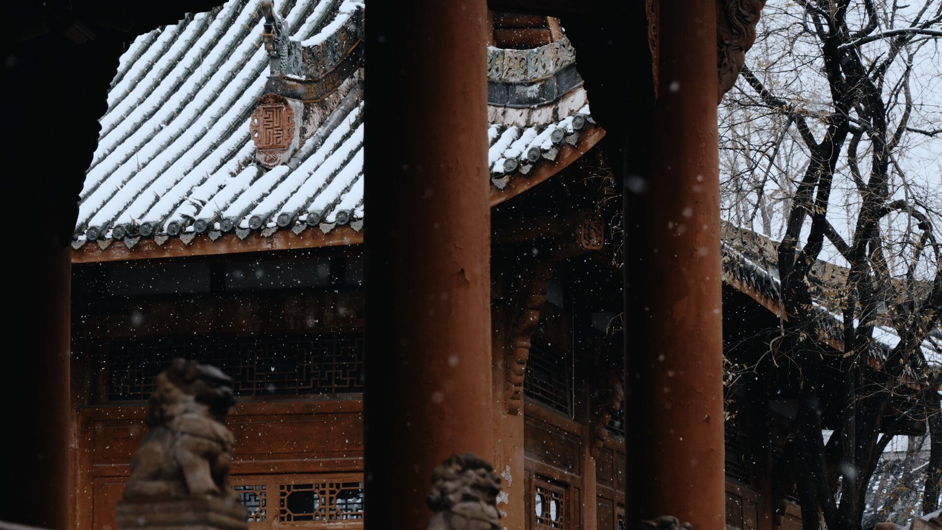 美哭了！德阳文庙的雪(图4)