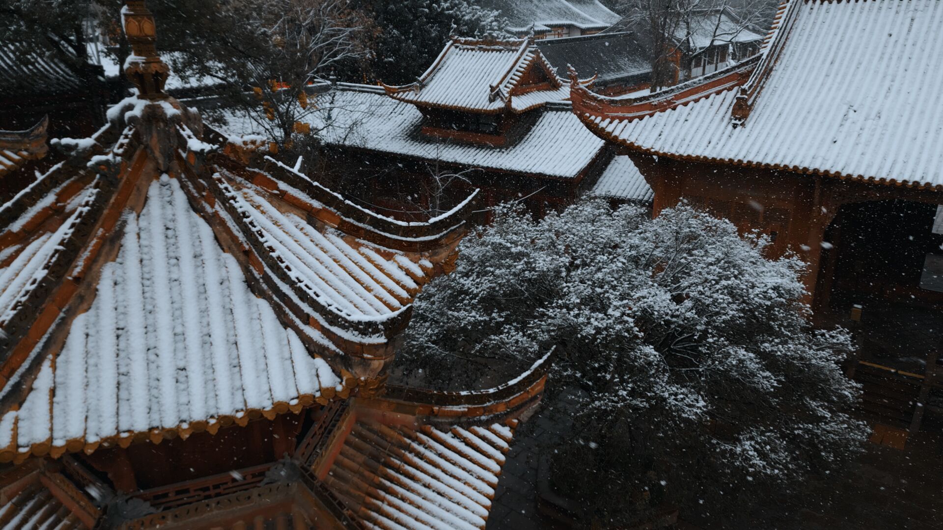 美哭了！德阳文庙的雪(图11)