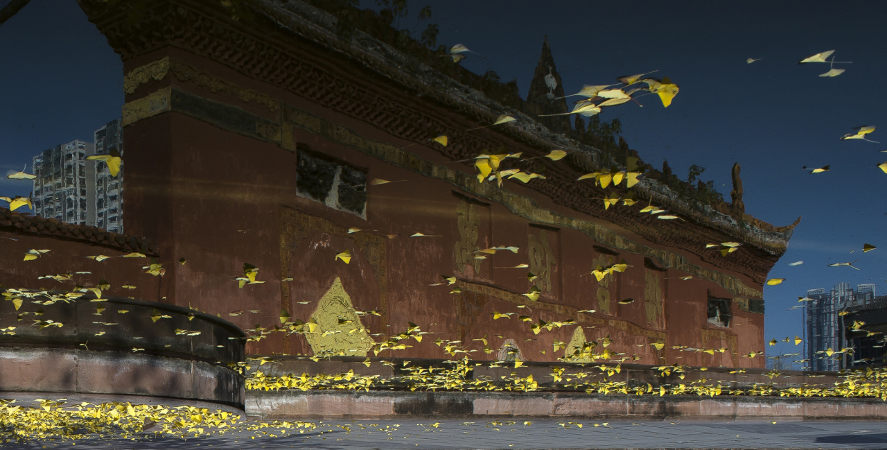 下班出逃计划!德阳文庙古风音乐汇邀你赴千年之约(图11) 下班出逃计划!德阳文庙古风音乐汇邀你赴千年之约(图11)