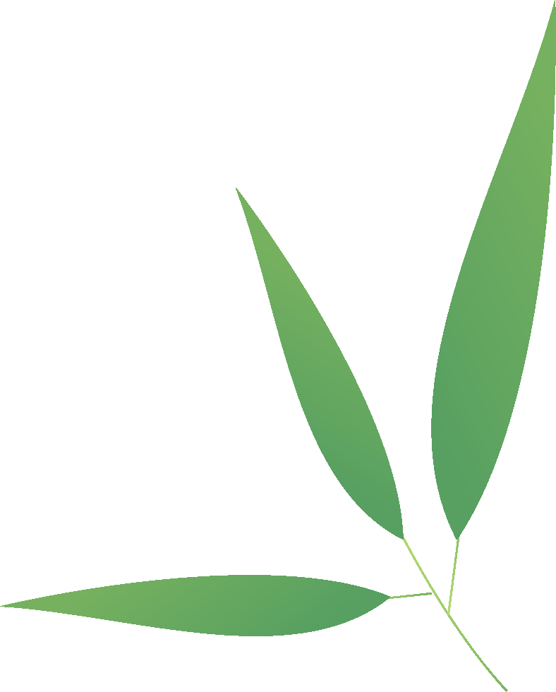 古韵流芳，礼润端阳｜丙午年德阳文庙端午雅集圆满落幕！(图1)