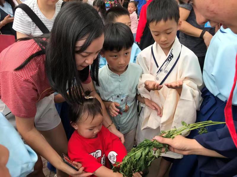 来德阳文庙 共度端午佳节(图10)